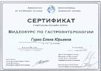 Сертификат об участии в курсе по гастроэнтерологии