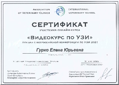 Сертификат об участии в курсе по УЗИ