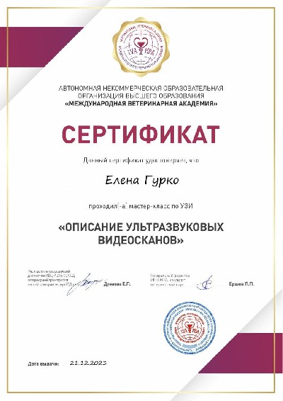 Сертификат о прохождении мастер-класса по УЗИ - Описание ультразвуковых видеосканов