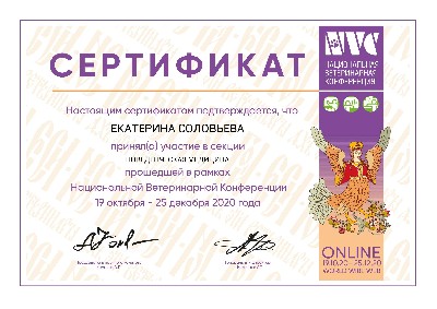Сертификат об участии в секции Поведенческая медицина