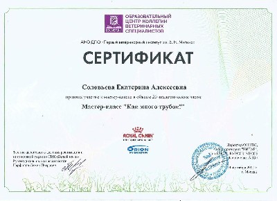 Сертификат об участии в мастер-классе Как много трубок!
